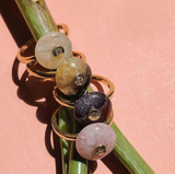 Four Millapani Cuarzo Rings with different quartz colors on a green stem